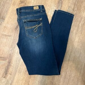 VTG Jordache Dark Indigo Skinny Jeans